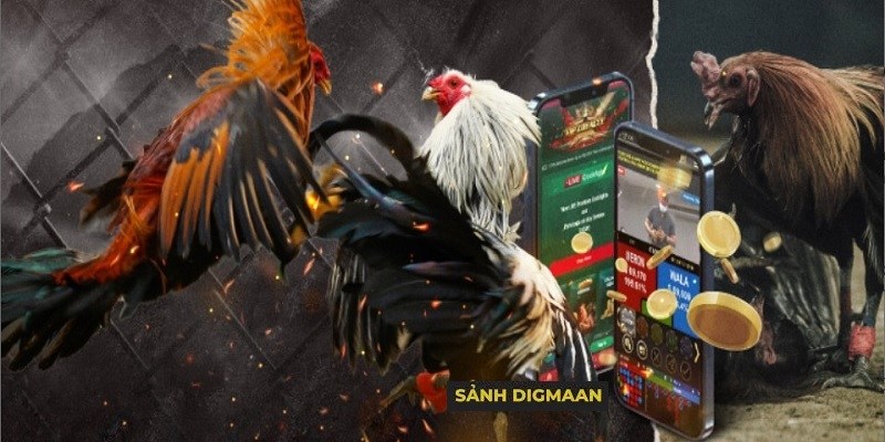 Đa dạng thể loại cược hấp dẫn tại sảnh Digmaan BJ88